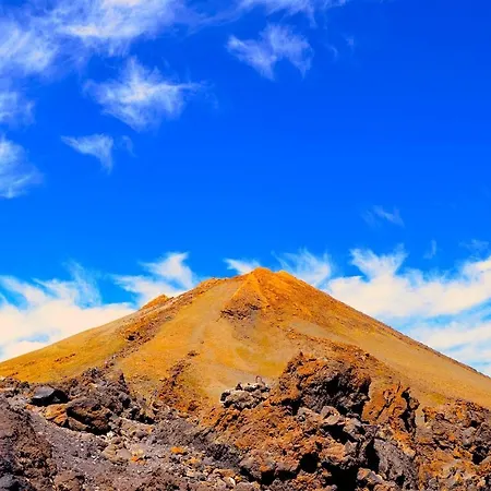 Tenerife Holidays * 아데제