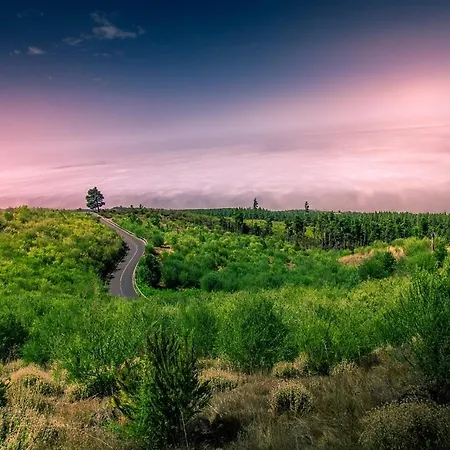 아파트 Tenerife Holidays