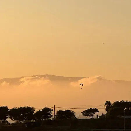 Tenerife Holidays 아파트 아데제