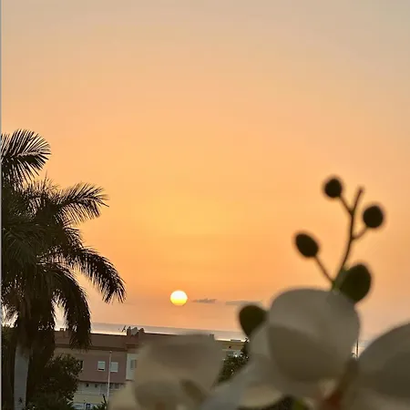 아파트 Tenerife Holidays 아데제