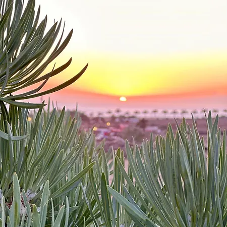 Tenerife Holidays 아데제